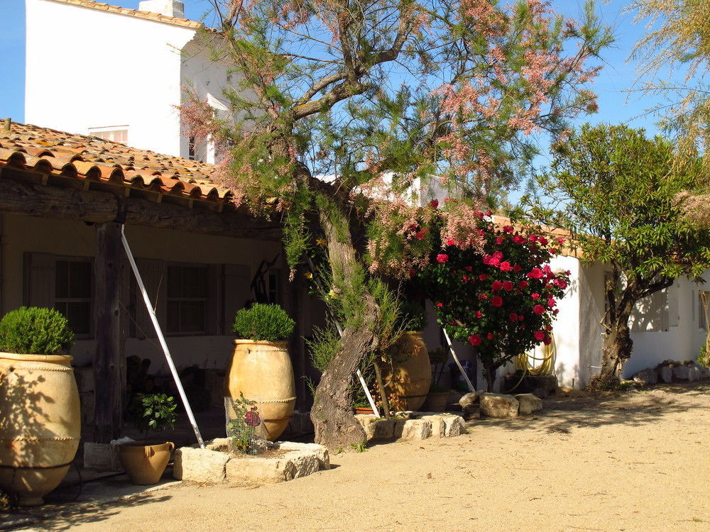 Cacharel Hotel Saintes-Maries-de-la-Mer Kültér fotó